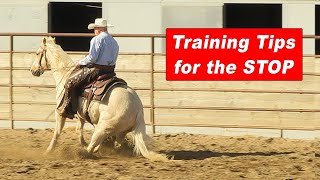 Training Tips for Stopping Your Horse  Reining Horse Reined Cow Horse Cutting Horse Stop [upl. by Kimberli]