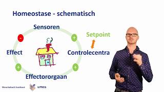 Homeostase wat is het en hoe werkt het [upl. by Poppo]