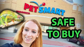 Chameleon products you CAN buy at PetSmart [upl. by Gilboa]