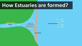 How Estuaries are formed  Coastal Estuary sandbar  Geography terms [upl. by Alix]