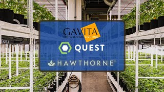 Gavita Quest and Energy Rebates [upl. by Okoyk]