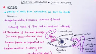 EPIPHORA  Clinical of Lacrimal Apparatus [upl. by Edobalo]