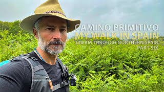 My CAMINO PRIMITIVO hiking 320 km in Northern Spain 🇪🇸 Part Six 🇪🇸 Camino de Santiago [upl. by Daegal]