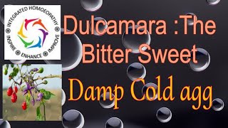 Dulcamara Bitter Sweet [upl. by Hay]