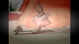 Wile E Coyote and The Road Runner episode 110 [upl. by Viradis]