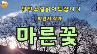 단편소설오디오북 마른꽃  박완서 작가  박완서 작가님이 남편과 사별후 64세가 되던 해에 쓴 작품  실버로맨스는 어떤 이해와 책임이 뒤따를지 [upl. by Jerusalem561]