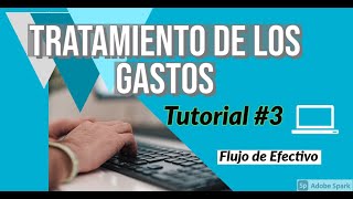 Tratamiento de los Gastos Tutorial3 Flujo de Efectivo Personas Fisicas con Actividad Empresarial [upl. by Aiken902]