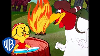 Looney Tunes  Camping with Foghorn Leghorn  Classic Cartoon  WB Kids [upl. by Eneleahcim]