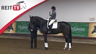 Das Pferd richtig warm machen  Jean Bemelmans in Hannover Teil 1a  Die Alten Meister [upl. by Asiela]