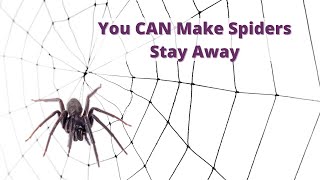 Get Rid of Spiders the Easy Way [upl. by Haeluj]