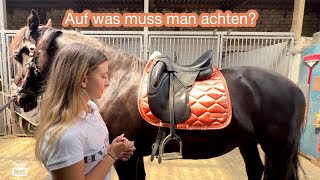 Ein Pferd richtig satteln 🐴💕 [upl. by Erialc461]