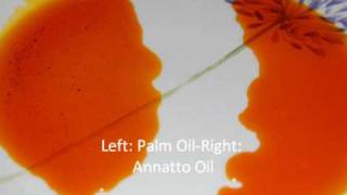 Annatto Oil Palm Oil Substitute [upl. by Zeeba]