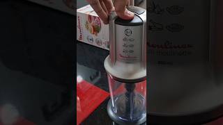 Moulinex Mini Chopper 3 in 1 Made in France Overview Pakrefcom [upl. by Anivlac]