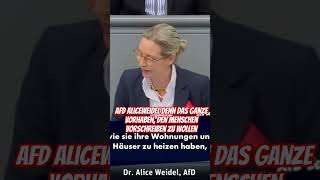 AfD Aliceweidel Denn das ganze Vorhaben Den Menschen vorschreiben zu wollen shorts afd weidel [upl. by Lilahk]