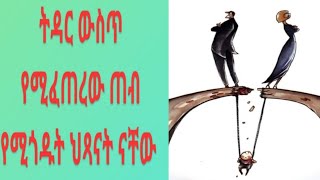 Bire ብሬ ሁለገብ is live ትዳር ውስጥ አለመግባባት ቢፈጠር ወይም ቢ ለያዩ ልጆች ተጎጂ ናቸው ወይስ አይደሉም [upl. by Barnes]