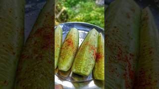 Village Life Style 😊☺️🥒🥒🏕️🛖 Village Vlogs villagecooking odiarecipe villagefood jenababu [upl. by Nennerb290]