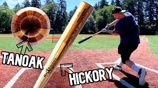 Hitting with the MacDougall PowerWood M21  Wood Baseball Bat Review [upl. by Pavla]