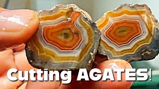 Cutting AGATES from Malawi Africa Alimajo Gambiri Classic BEAUTY [upl. by Eelir611]