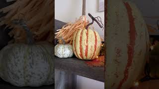 Skelly’s Holloween fallcolors 80smusic shortsvideo falltrends pumpkins pumpkinpatch [upl. by Bayly]