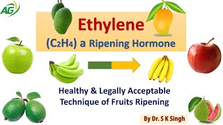 EthyleneC2H4 a Ripening Hormone Healthy amp Legally Acceptable Technique of Fruits Ripening [upl. by Nahtnaoj]