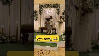 මනමාලයත් හොල්මන් ඒකට 😃😂 dance funnydance funnyshorts slmemereview funny trending weddingdance [upl. by Eicyak]