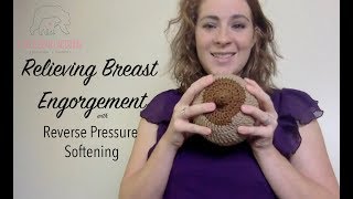 Relieving Breast Engorgement with Reverse Pressure Softening [upl. by Kloster]