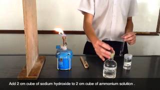 Testing of Ammonium Cations  sodium hydroxide [upl. by Granville]