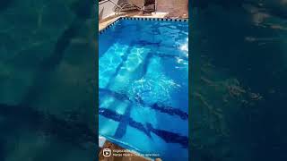 Aplicação de algicida de manutenção na piscina [upl. by Sindee]