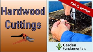 Propagating Hardwood Cuttings 🍂❄️🍂 Easy in Fall amp Winter [upl. by Stearn]