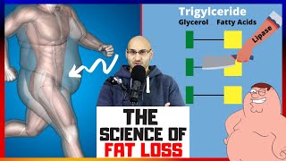 The Science of Fat Loss Explained [upl. by Rutherford]