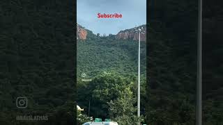 Venkateswara swamy 🙏venkateswaraswamy tirupati shorts youtubeshorts youtubeytshorts tirumala [upl. by Ilatan512]