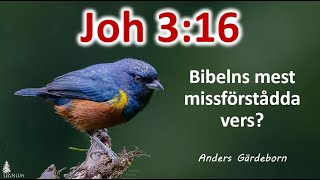 Joh 316 Bibelns mest missförstådda vers [upl. by Ealasaid580]