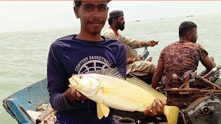 mangrove fishing [upl. by Hospers]