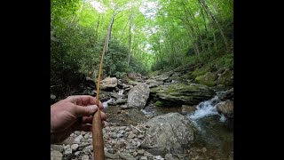 Fly Fishing Pisgah National Forest Part 2 Western North Carolina  MONSTER RAINBOW TROUT [upl. by Stannwood]