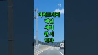 아파트에서 매일 새벽 1시마다 된장찌개 끓이는 노인이 충격입니다 [upl. by Wehtta]