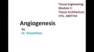 Tissue Engineering Module 2 Angiogenesis vtu tissueengineering vtuexams [upl. by Telford]