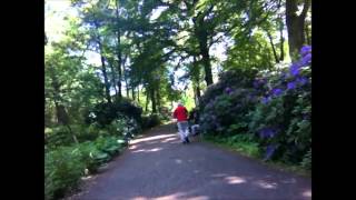 Fahrt zwischen blühenden RhododendronBüschen im Tiergarten  Berlin [upl. by Eustatius293]