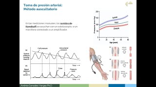 Monitoreo No Invasivo de Presión Arterial Principios de Equipos Biomédicos [upl. by Inilahs]