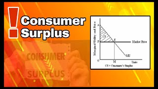 Consumer Surplus  TamilEnglish notes economicstamil consumersurplus economics [upl. by Enyalaj267]