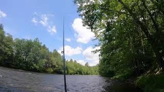 Lackawaxen River PA Trout Fishing 20220627 [upl. by Kathy126]