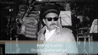 Andrzej Zaucha  Drzazgi pełna wersja 1982 [upl. by Ydnelg775]