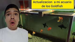 Actualizacion al acuario de los Goldfish 300L [upl. by Waverley941]