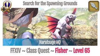 FFXIV Fisher Quest Level 65  Stormblood  Search for the Spawning Grounds Harutsuge HQ [upl. by Chadbourne]