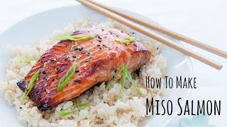 How to Make Miso Salmon Recipe 味噌サーモンの作り方（レシピ） [upl. by Ninon]