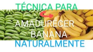 Como amadurecer banana naturalmente [upl. by John874]