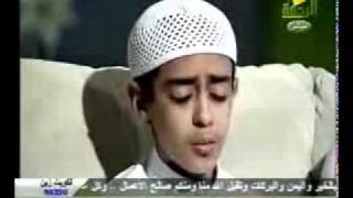 Quran Mahmoud Hijazi  Surah AnNeml [upl. by Asillim]