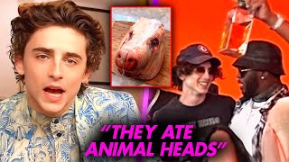 Timothee Chalamet SPEAKS OUT On HORROR At Diddy Party  Diddy’s Connection to CNNIBAL Armie Hammer [upl. by Nahtaoj477]