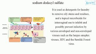 sodium dodecyl sulfate English  Medical terminology for medical students [upl. by Irallih]