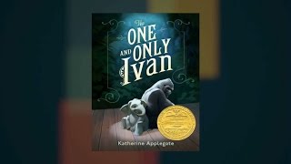 Katherine Applegate on The One and Only Ivan at Miami Book Fair [upl. by Ellehsal946]