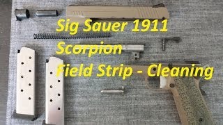 Sig Sauer 1911 Scorpion  Field Strip [upl. by Nilsoj161]